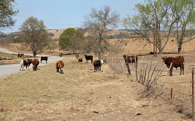 Court rules farm dwellers may be forced to reduce livestock