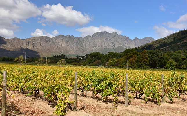 Confusion over wine tasting and sales on wine farms resolved
