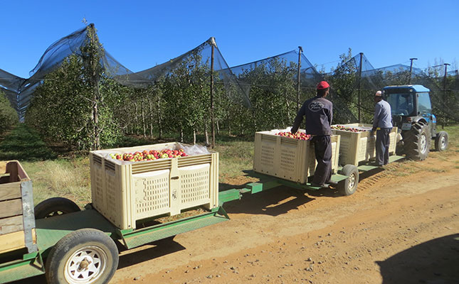 farm labour