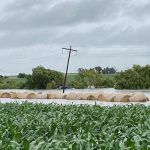 According to Free State Agriculture, farmers in parts of the Free State were in despair due to severe flood damage to not only fields but also to houses and farm infrastructure following heavy rain during late 2020 and early 2021.