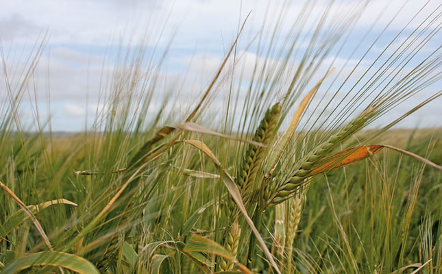 Alcohol ban plunges wine and barley farmers in crisis