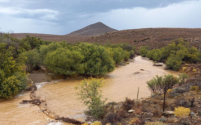 Rain brings relief, but delays Northern Cape grape harvest