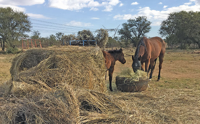 Beware of mouldy hay bales