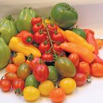 The company produces specialty tomatoes in a range of colours.