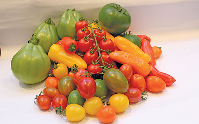 Speciality tomatoes succeed with fewer inputs