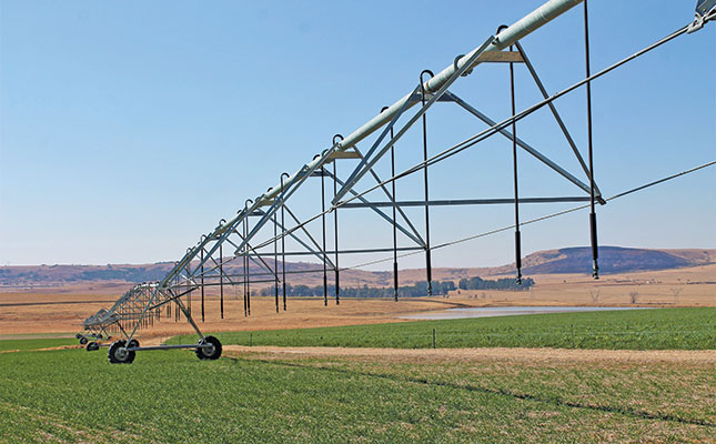 Irrigated wheat: Conservation farming improves water usage and yield