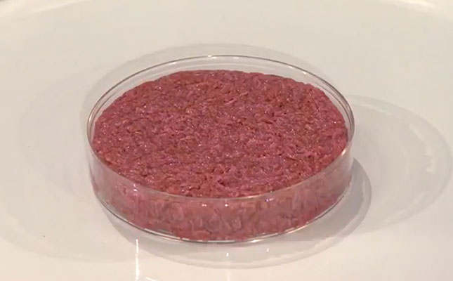 Weak appetite for Bill Gates’s lab-grown meat solution