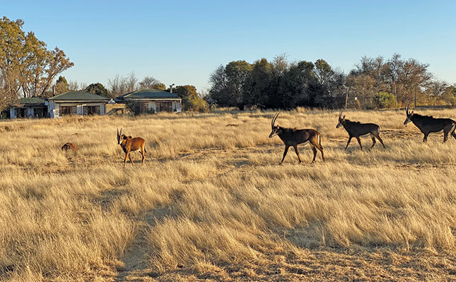 Fine dining and tractor game drives on a Free State farm