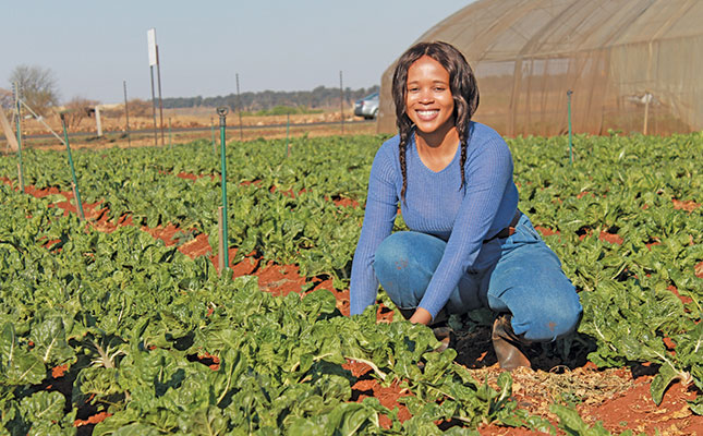 ‘Go after what you want’ – lessons from a young spinach farmer