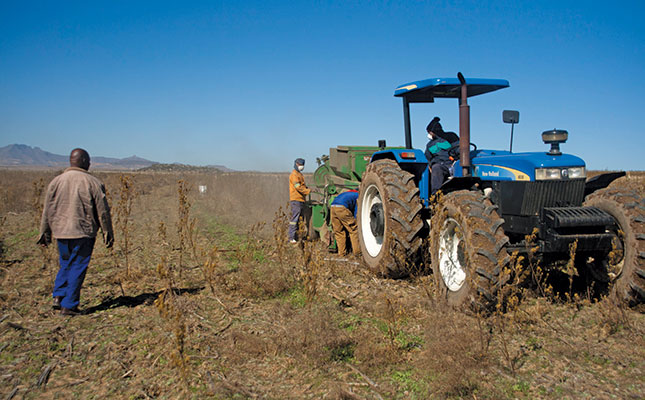 Government’s R1 billion funding boost for black farmers