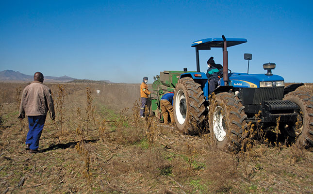 Government’s R1 billion funding boost for black farmers Government’s R1 billion funding boost for black farmers