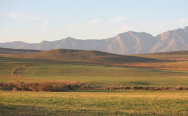 Botched land reform costing agri department R2 billion