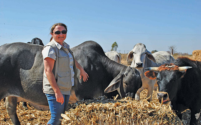 How trusting her instincts has paid off for Brahman breeder