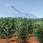 Maize-field-with-pivot-irrigation