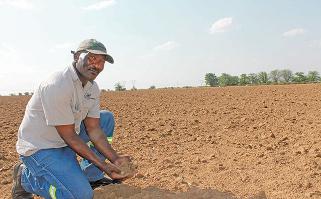 Maize growing tips from a top new commercial farmer