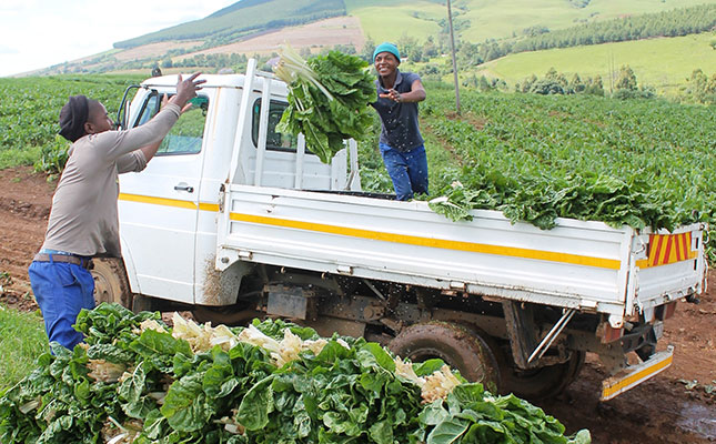 SA agribusiness confidence continues its positive trend SA agribusiness confidence continues its positive trend