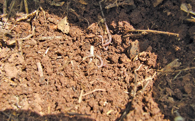 No-till: better soil at less cost No-till: better soil at less cost