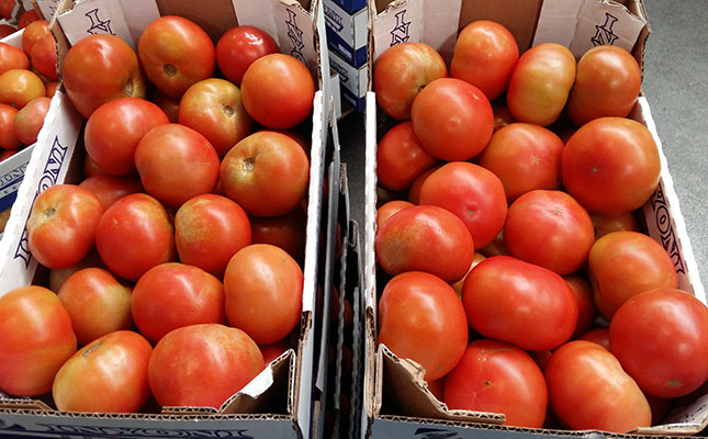 SA’s tomato volumes expected to normalise by early May