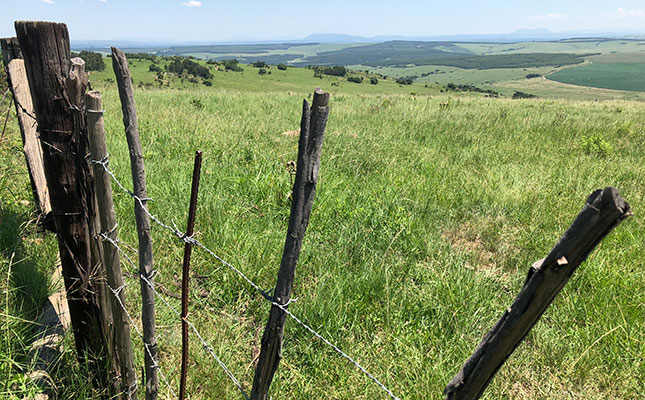 Murder-accused Mpumalanga farmers granted bail Murder-accused Mpumalanga farmers granted bail