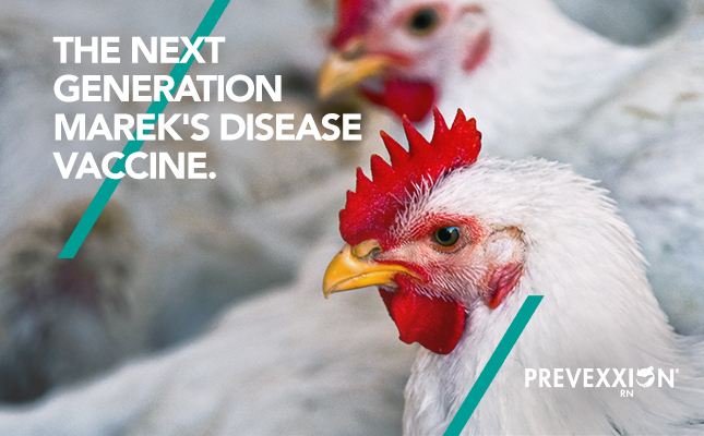 Prevexxion RN: The next generation Marek’s disease vaccine