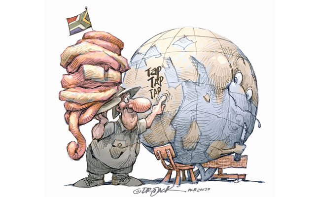 What SA’s red meat industry must fix before scaling up exports What SA’s red meat industry must fix before scaling up exports
