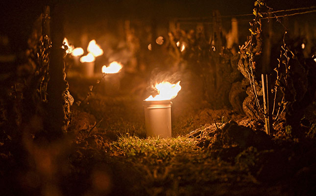 French government steps in to assist frost-ravaged farmers French government steps in to assist frost-ravaged farmers