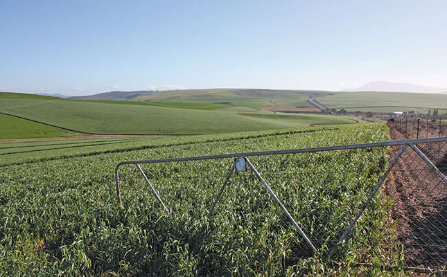 Fixing the problems facing SA agriculture