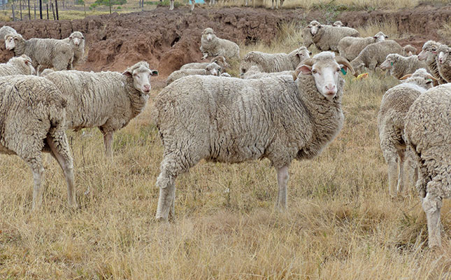 Livestock marketing tips Livestock marketing tips