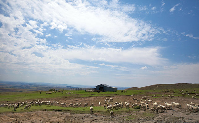 Farmers urged to report crime along the SA-Lesotho border Farmers urged to report crime along the SA-Lesotho border