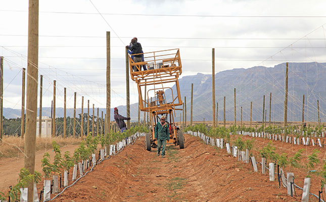 New hope for failed land reform farm