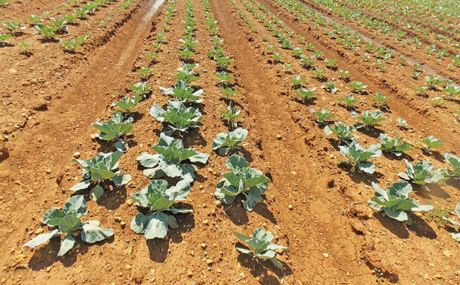 Solve those crop problems yourself, and save thousands! Solve those crop problems yourself, and save thousands!