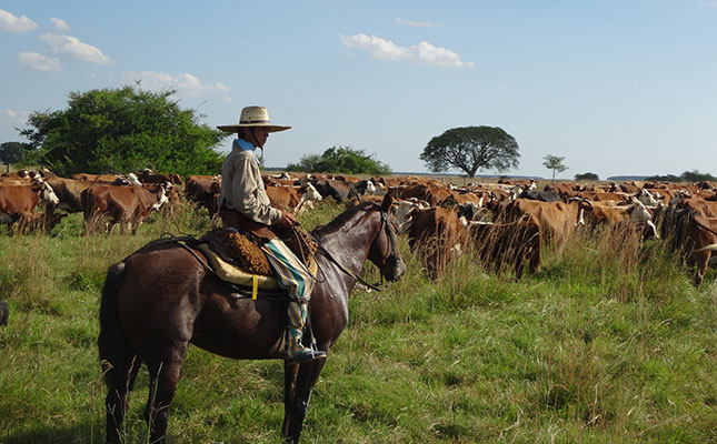 Global beef prices benefit from soaring demand in China