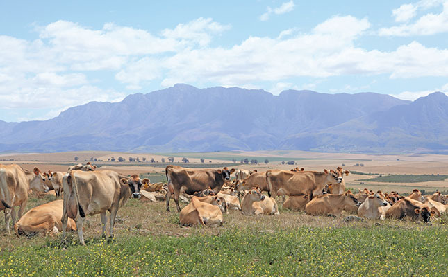 Genetics drive dairy production profitability Genetics drive dairy production profitability