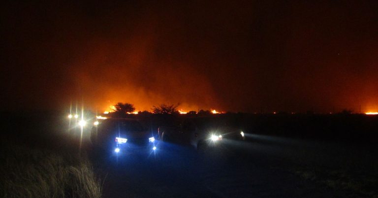 Ten-fold increase in Free State wildfires so far this year