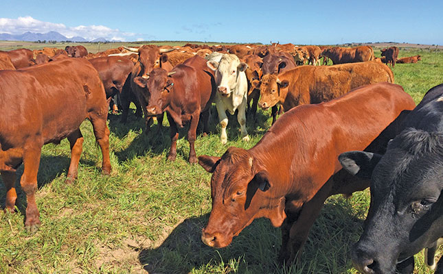 Regenerative farming for livestock farmers