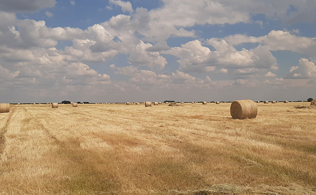 EFF’s and ANC’s new proposals on land met with scepticism EFF’s and ANC’s new proposals on land met with scepticism