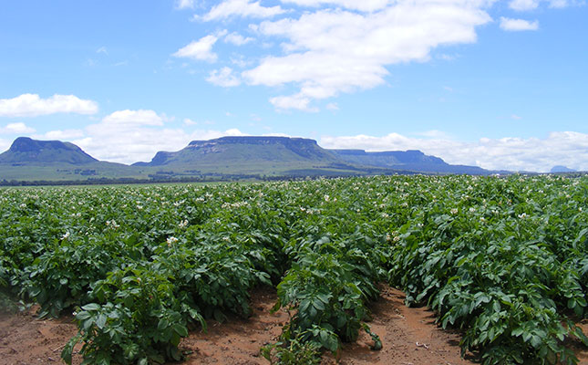 Agriculture’s language problem