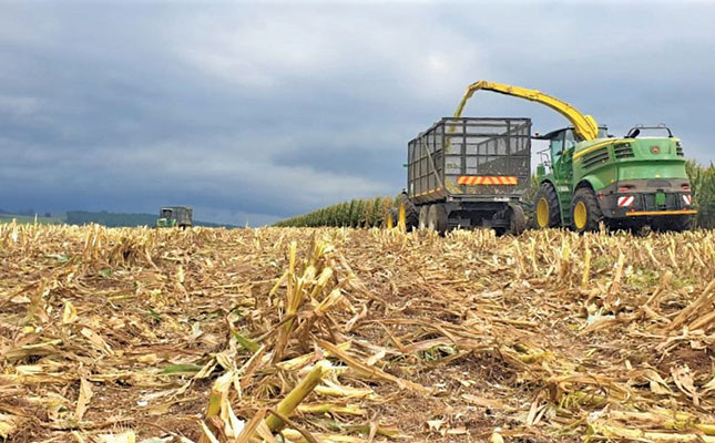 Getting a silage maize crop into the bunker chop-chop