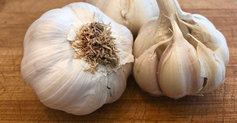 Tips for growing bigger garlic bulbs