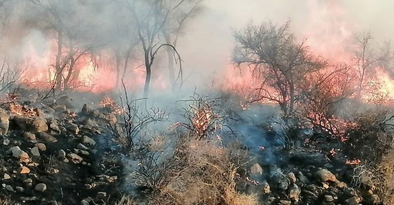 Negligence blamed for wildfires in Namibia