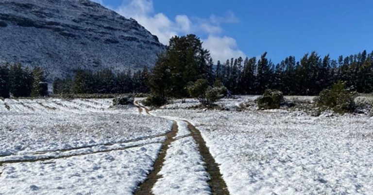 Snowfall in the Western Cape widely welcomed