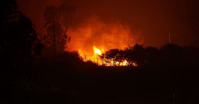 Northern Cape wildfires destroy 445 000ha of veld in 2021