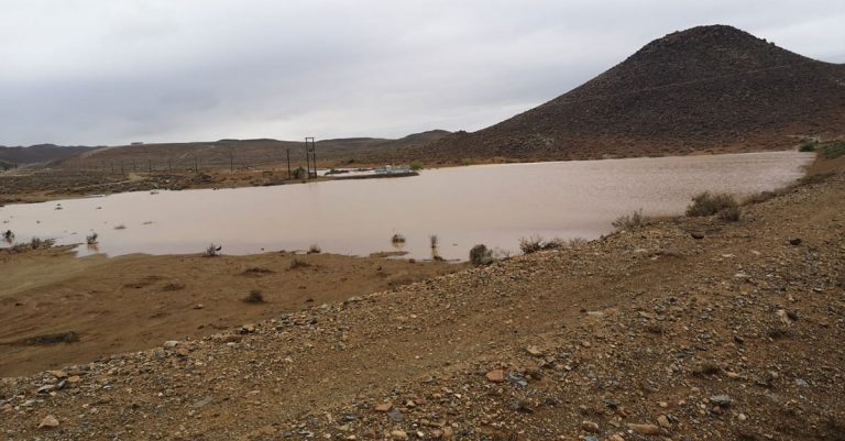 Rain brings hope to farmers in Central and Klein Karoo