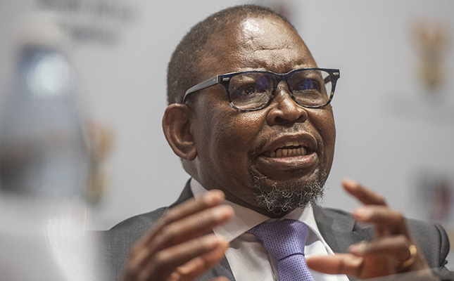 Agri sector takes wait-and-see stance on Godongwana’s budget