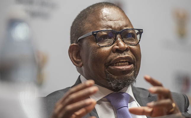 Agri sector takes wait-and-see stance on Godongwana’s budget Agri sector takes wait-and-see stance on Godongwana’s budget