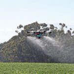 Drone rotors force the crop spray downwards towards the plants.