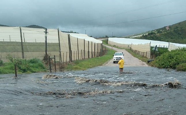 Fears about damage for Southern Cape farmers after torrential rainfall Fears about damage for Southern Cape farmers after torrential rainfall