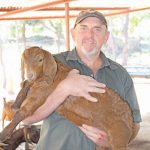 Eddie Goosen farms Kalahari Red goats near Mbombela in Mpumalanga.