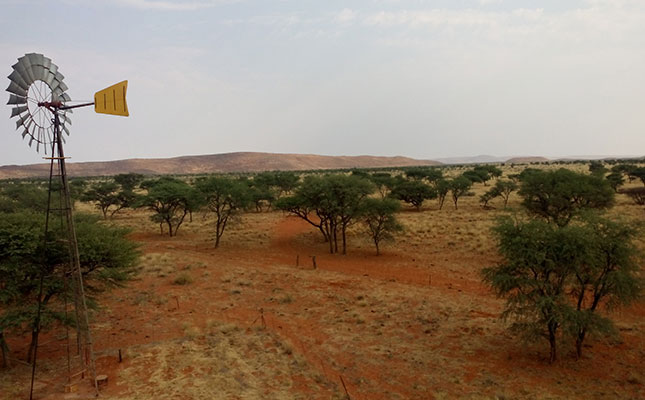 Action against uranium mining in Namibia welcomed Action against uranium mining in Namibia welcomed
