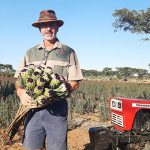 Nico Thuynsma grows several types of fynbos on a farm in Cullinan, Gauteng.